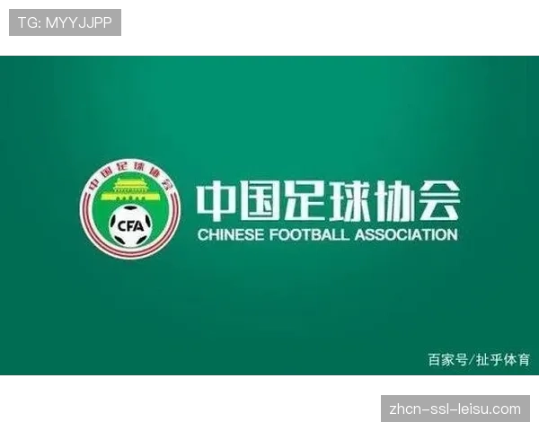 欧足联研讨“财政可持续性”新规，或将取代现行财政公平法案